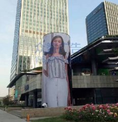 ����(sh��)���̈�(ch��ng)-��������Ӯ���